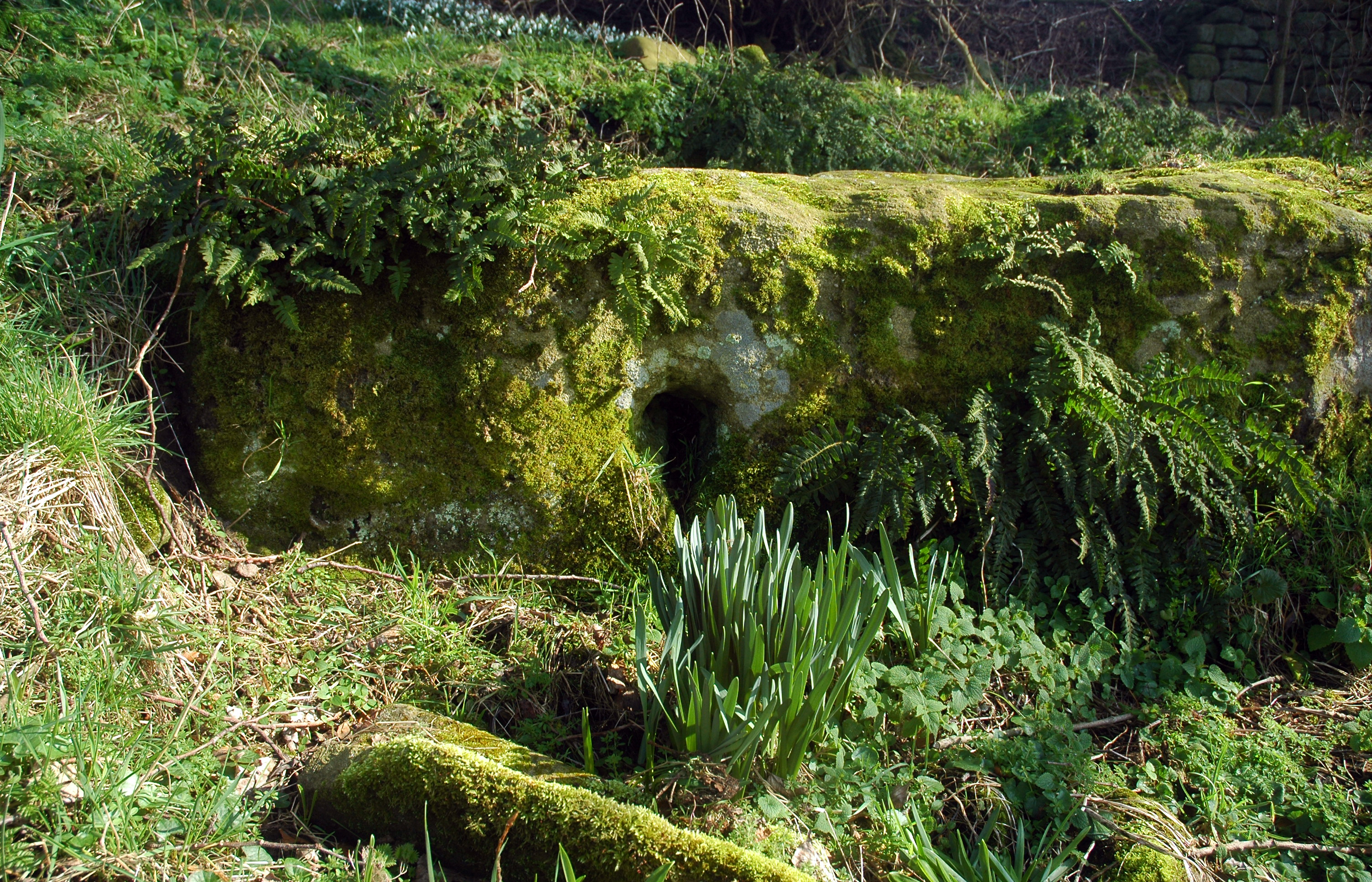 Gaint's Grave
