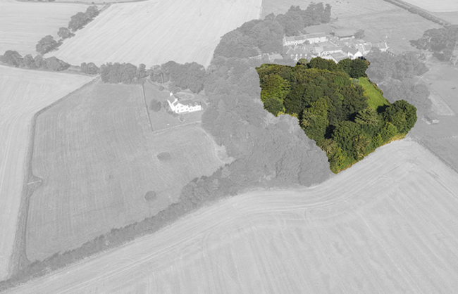 Quarry Wood